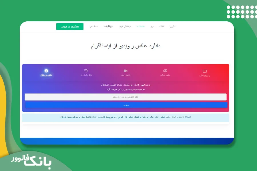 دیجی فالوور